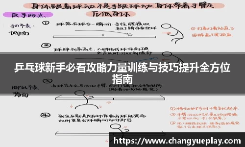 乒乓球新手必看攻略力量训练与技巧提升全方位指南